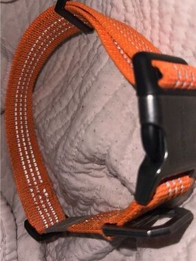 Carhartt Tradesman Dog Collar